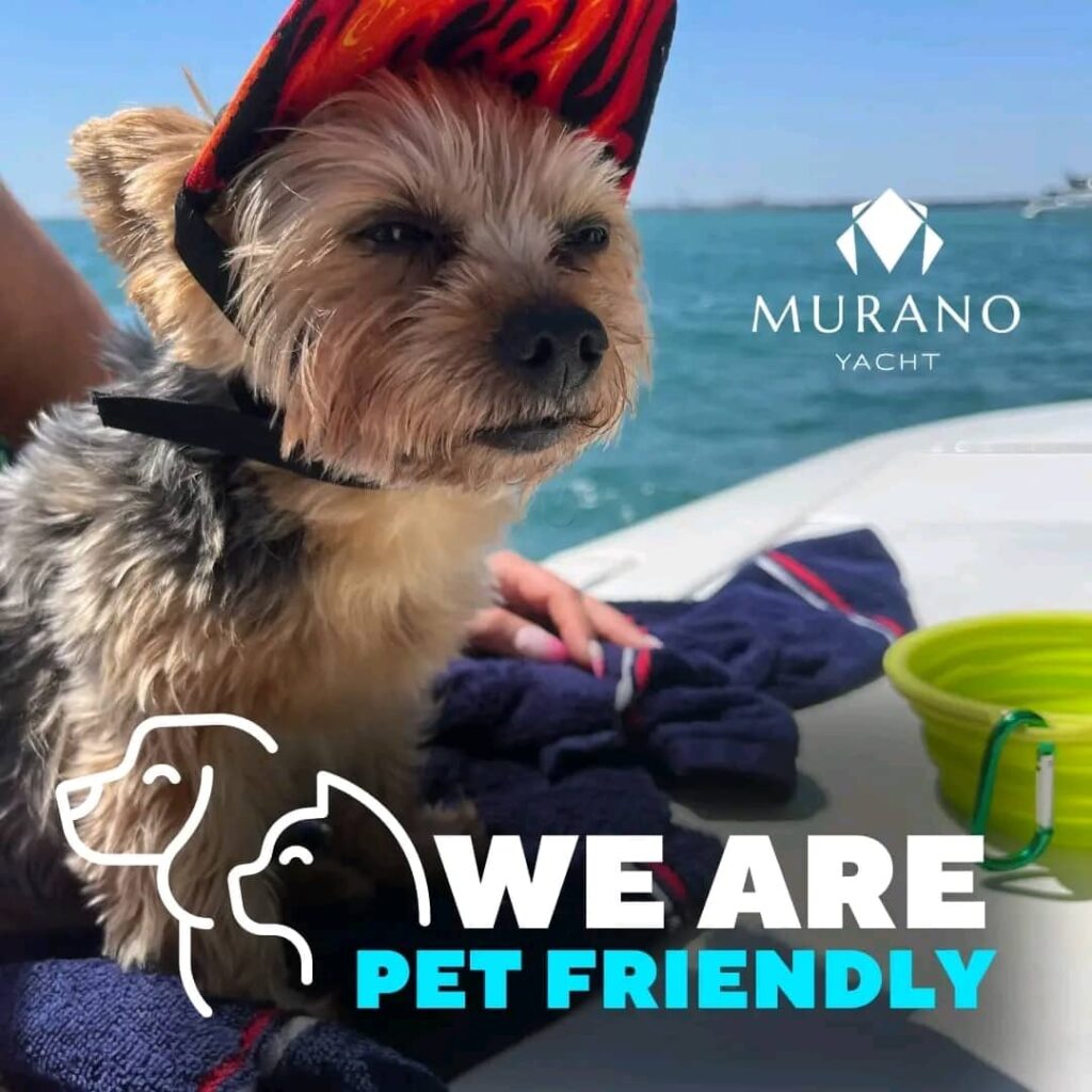 Pet-friendly yacht charters